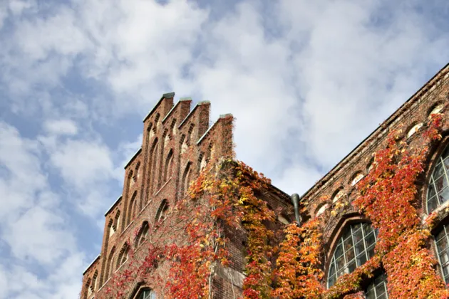 Lund University library with a blue sky. Photo Johan Person.
