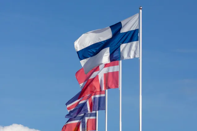 Scandinavian flags. Photo by K8 on Unsplash.